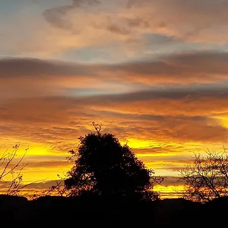 Appartement Ferien- Und Monteurwohnung Tina Mörlenbach