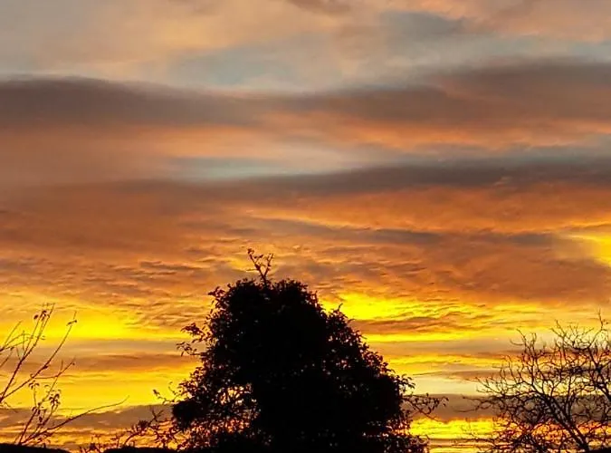 アパート Ferien- Und Monteurwohnung Tina Mörlenbach